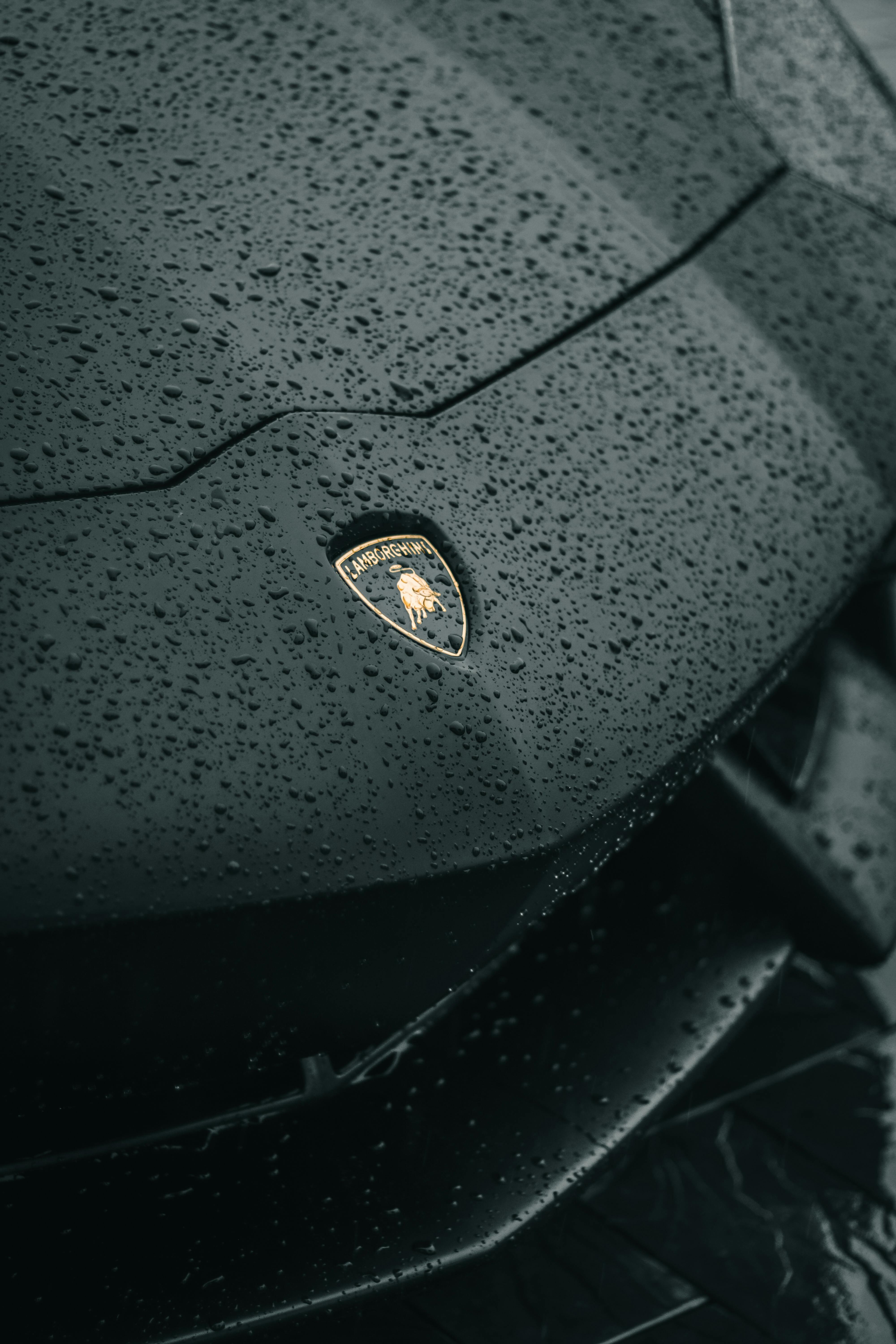 Lamborghini embléma